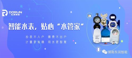 东润智能 拍了拍 你 智慧水务“粽”有爱，智能开发沁人心